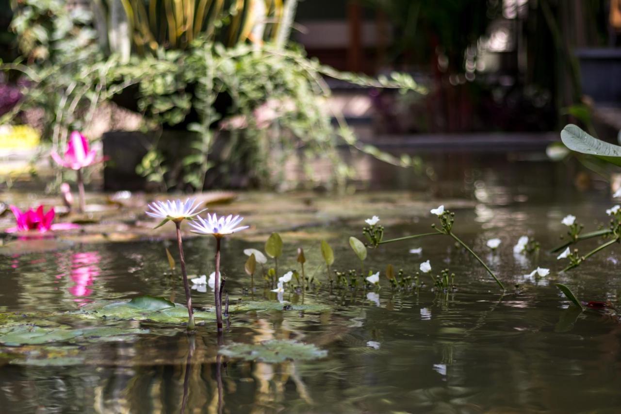 Отель Hidden Padma Retreat Убуд Экстерьер фото